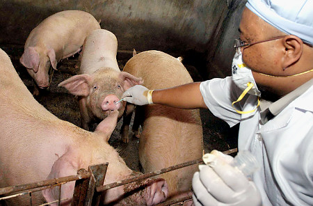 Photo from Daily News NY, 04/24/09